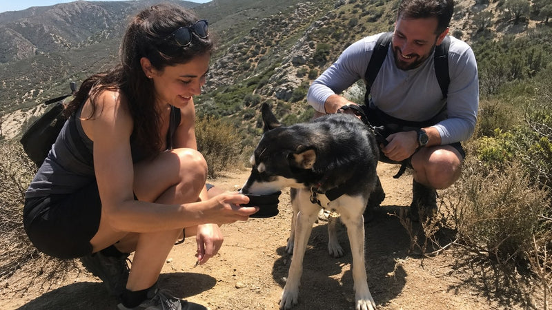 Fuel for the trail