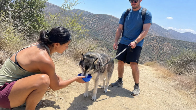trail fuel