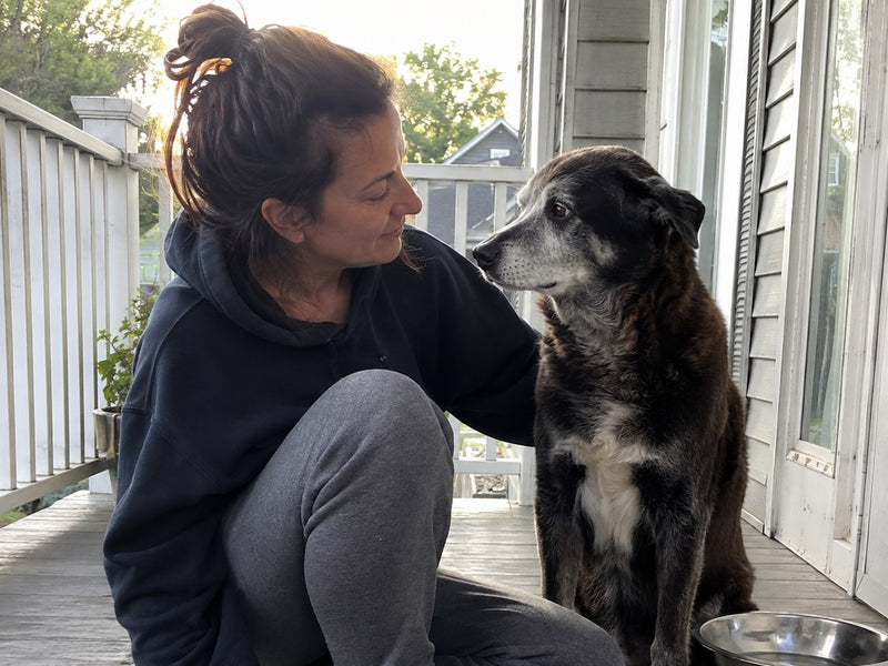 Front porch regulars