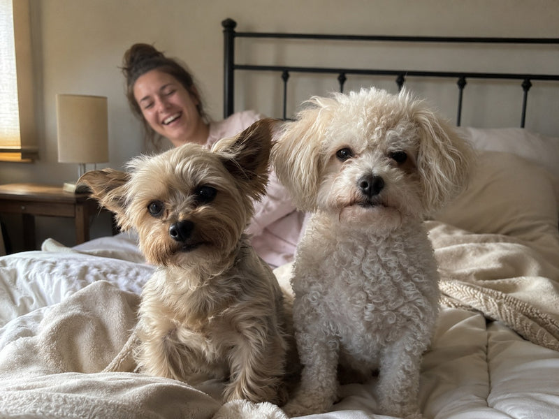 breakfast club