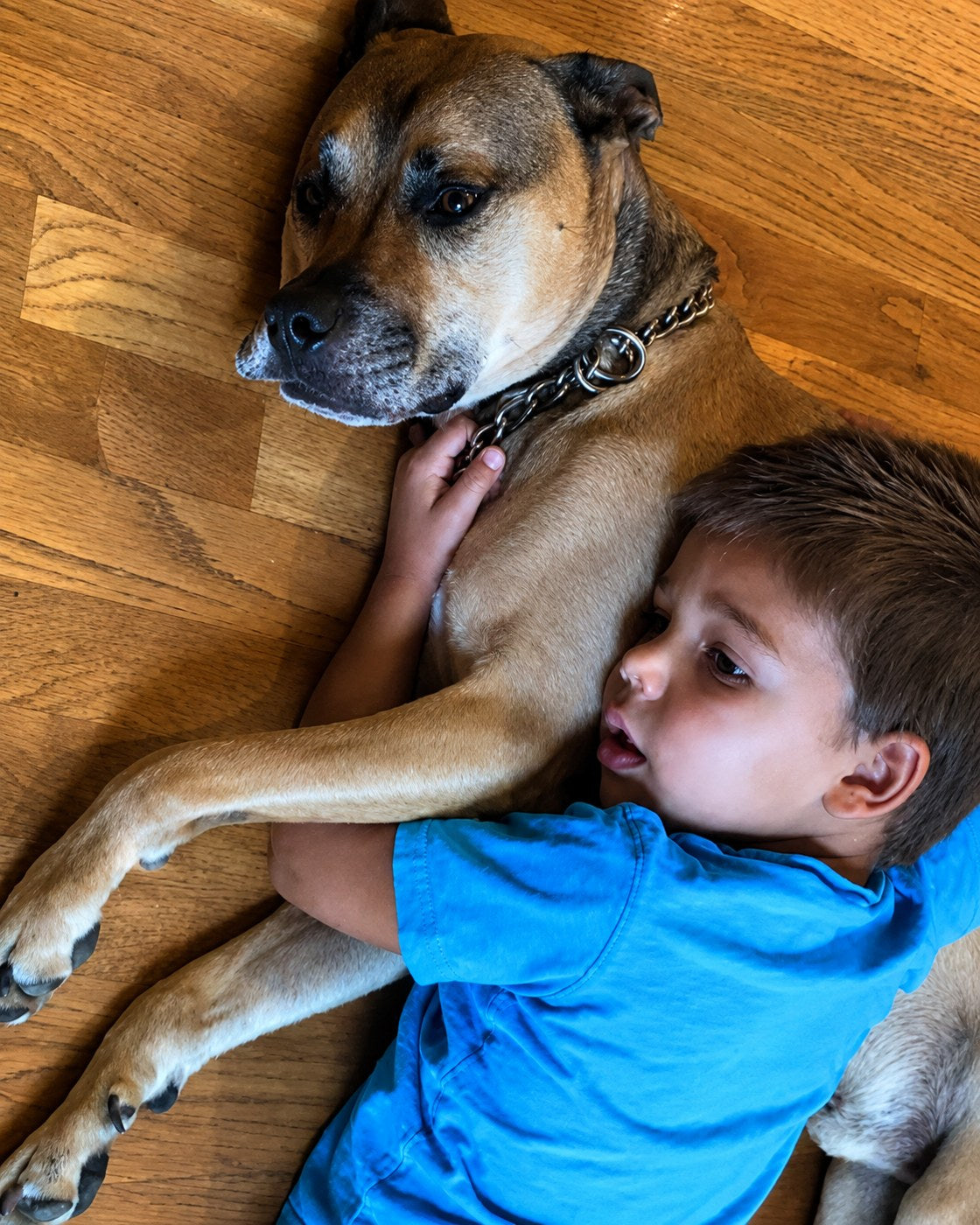 Duke's favorite shift — nap shift