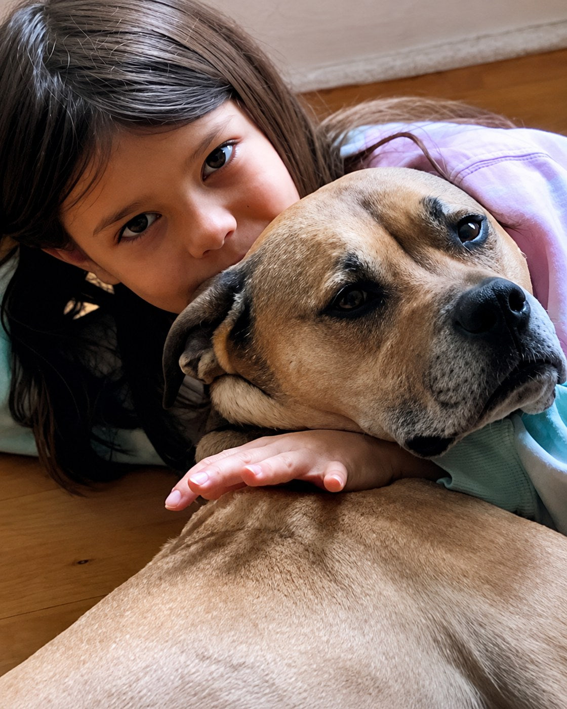 Sunday cuddles with Enzo & Duke