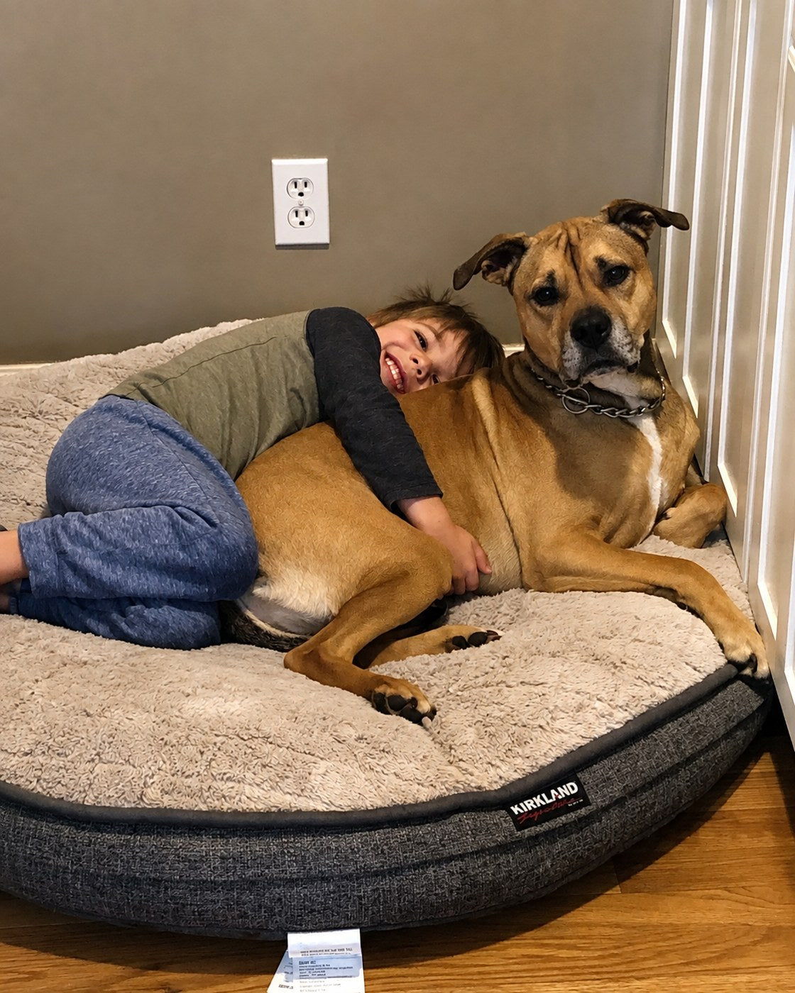 Enzo and Duke sharing the bed
