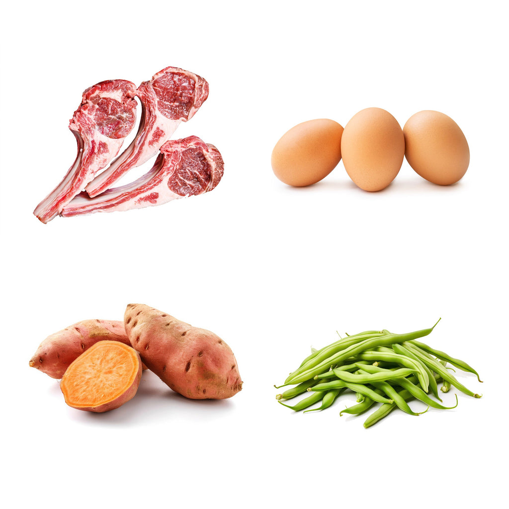 Lamb Muttballs - gourmuttkitchen