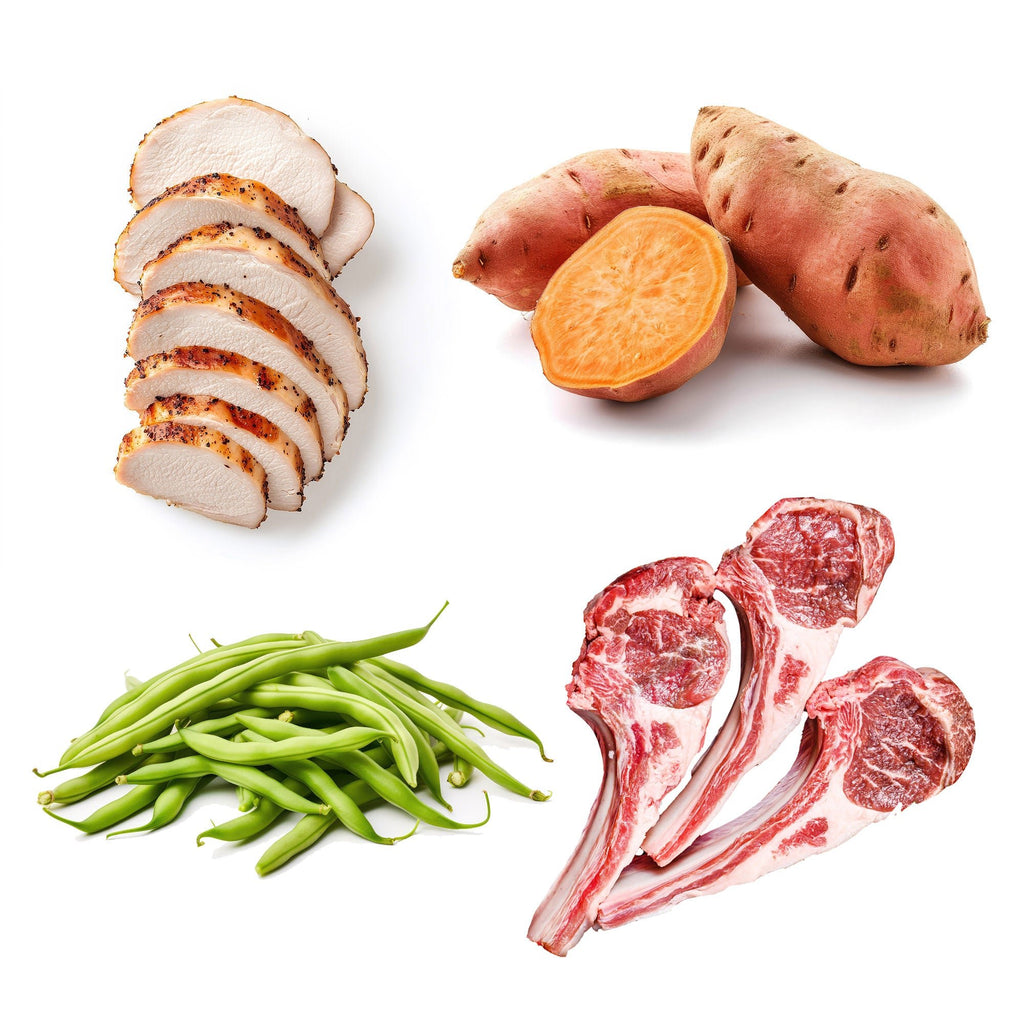 Turkey Lamb Muttballs - gourmuttkitchen